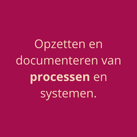 Opzetten en documenteren van processen en systemen